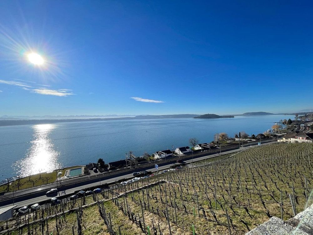 Behind the gate? The wine fields at the lake of Biel.